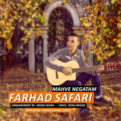 Farhad Safari   –   Mahve Negatam